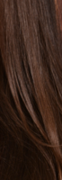 11.PNG