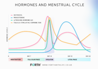 hormone-graph.png