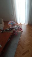 IMG-8aed883ee5c070c70aabcd456ed2cb45-V.jpg