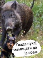 FB_IMG_1642773918412.jpg