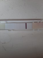 20220131_134555.jpg