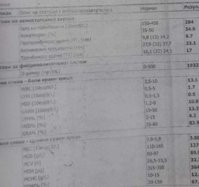 received_352682273344582.jpeg