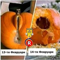 FB_IMG_1644836443649.jpg