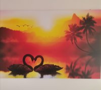 IMG_20220214_121041.jpg