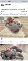 Screenshot_20220216-101232_Facebook.jpg