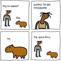 images (10).jpeg