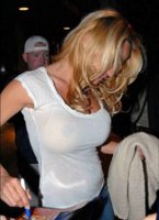 Pamela_Anderson_see_through.jpg