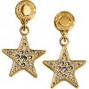 earings-20coach-small.jpg