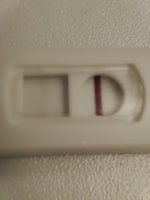 IMG_20220310_103352.jpg