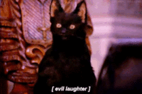 tumblr_68ee02a1d6cf7f9976fb30b5b2be4ad2_99aa3a85_250.gif