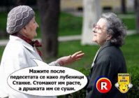 FB_IMG_1646937763772.jpg