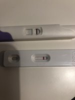 963C480D-E9DE-4EC8-802D-0648800F1747.jpeg
