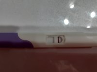 20220321_183246.jpg