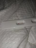 20220329_130735.jpg