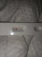 20220329_130652.jpg