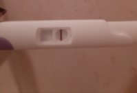 20220405_184633.jpg