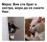 FB_IMG_1647126765458.jpg