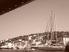 DSC08308.JPG
