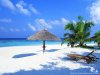 tropical-beach-wallpaper.jpg