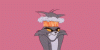 aww-cat-eu-ri-fun-funny-Favim.com-238401_large.gif