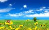 Fantasy-World-Beautiful-Wallpapers.jpg