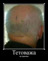 FB_IMG_1649671332530.jpg