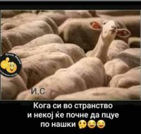 received_801177363877117.jpeg