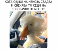 FB_IMG_1650440954697.jpg