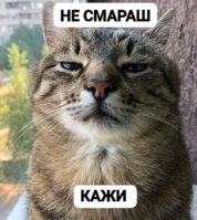FB_IMG_1650467842794.jpg