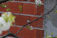 6599341F-1F12-4FEB-895B-B1CFCFA74A90.jpeg