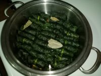 IMG_20220426_202539.jpg