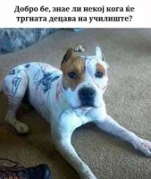 FB_IMG_1651058446788.jpg
