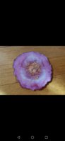 Screenshot_20220504_142743_com.android.gallery3d.jpg