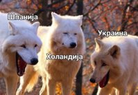 Laughing Wolves 13052022161842.jpg