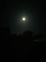 IMG_20220515_220808.jpg