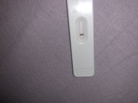 263CB534-D89E-4DF6-AA21-40F8BB78BF35.jpeg