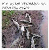 FB_IMG_1652916721808.jpg