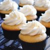 champagne cupcake1.1.jpg
