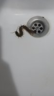 20220525_003822.jpg