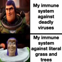 FB_IMG_1653858544180.jpg