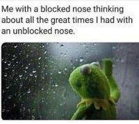 images.jpeg