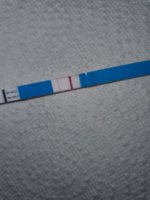 20220614_152615.jpg