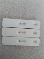 20220615_113056.jpg