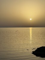 36DF166A-22A3-48EB-AD43-50262C24610C.jpeg