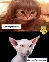 5C5D1EDF-A79E-4218-98B1-9B00A8C3B50A.jpeg