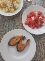 20220703_151222.jpg
