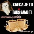 download (1).jpeg