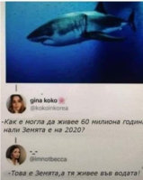 698.jpg