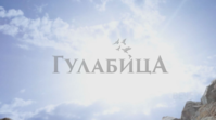 upload_2022-7-19_23-20-10.png