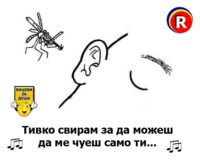 5CF2E572-74D7-459A-AD1B-75F63B649A41.jpeg